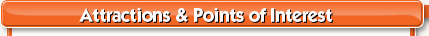Business in Downtown Tampa Downtown Tampa Business Directory