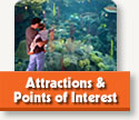 Attractions in Downtown Tampa - Fun things to do in Tampa Bay Area
