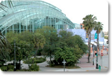 Florida Aquarium Downtown Tampa