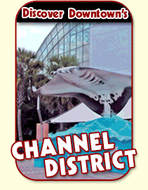 Downtown Tampa Transportation for things to do in Downtown Tampa Florida